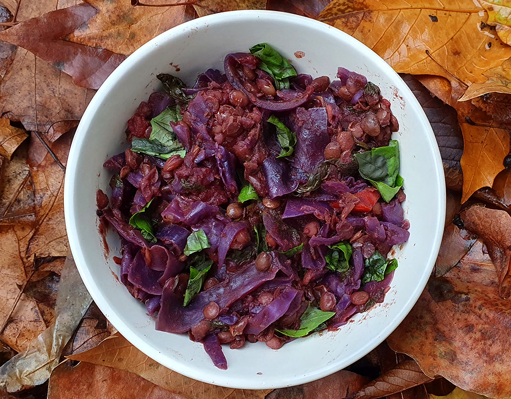 Red cabbage and lentil stew