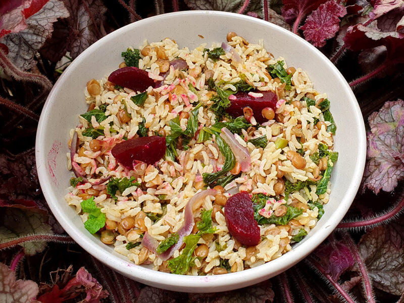 Rice salad with lentils, kale and beets