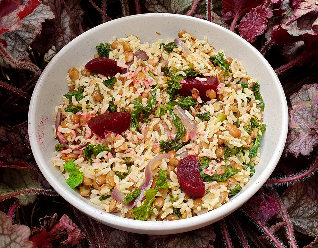 Rice salad with lentils, kale and beets