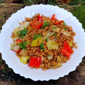 Sauteed leek and lentils