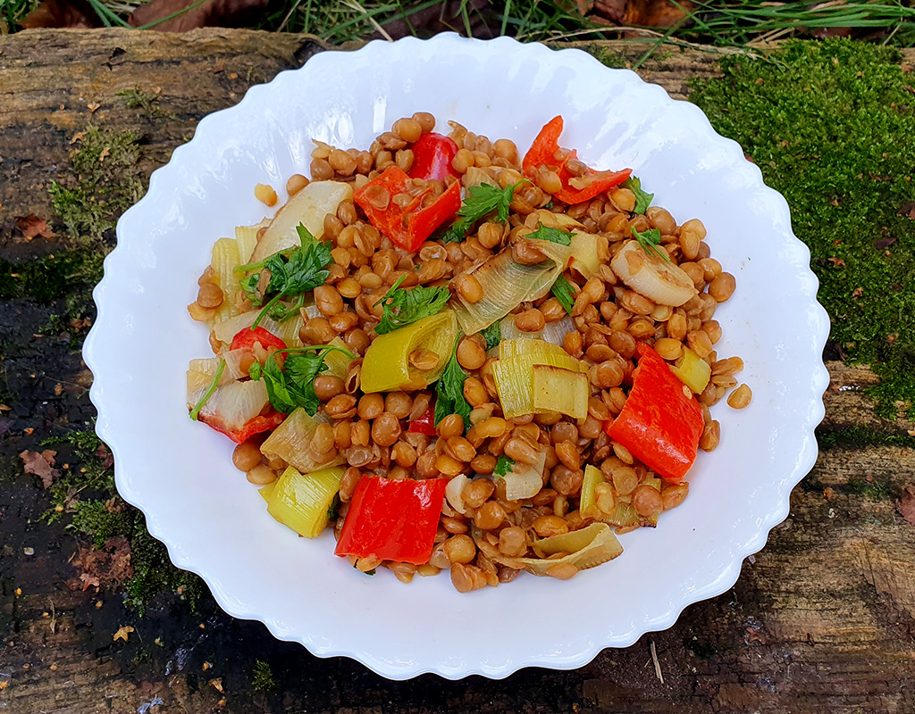 Sauteed leek and lentils