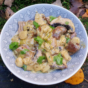 Vegan creamy mushroom