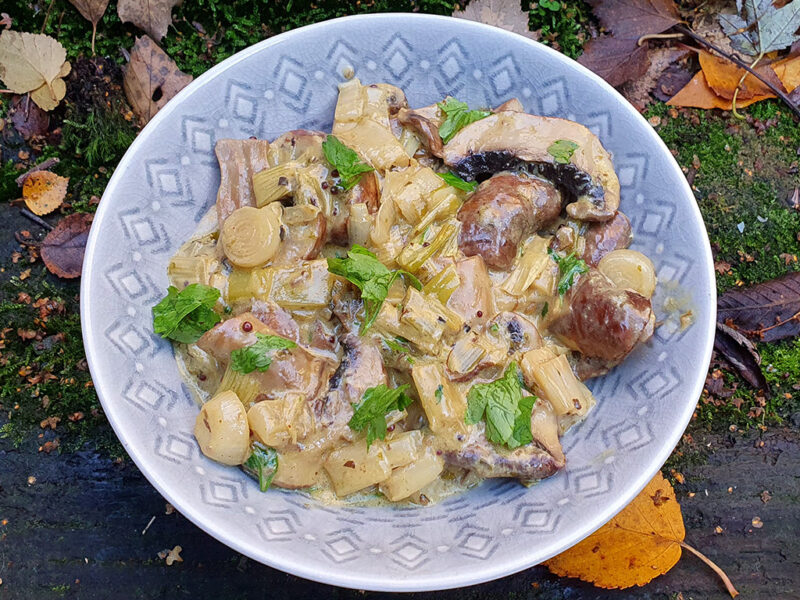 Vegan creamy mushroom