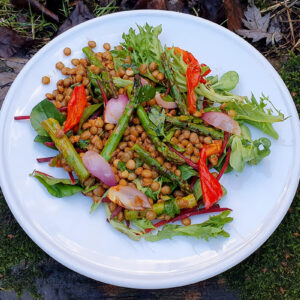 Grilled asparagus and lentil salad