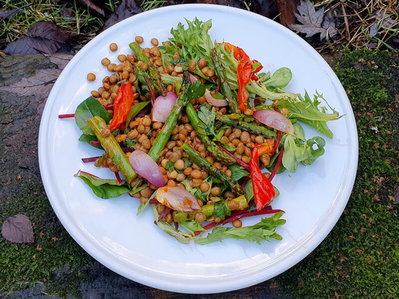 Grilled asparagus and lentil salad