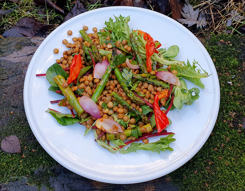 Grilled asparagus and lentil salad