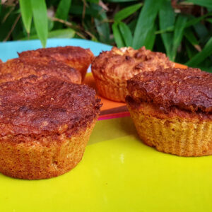 Orange, coconut and oat muffins