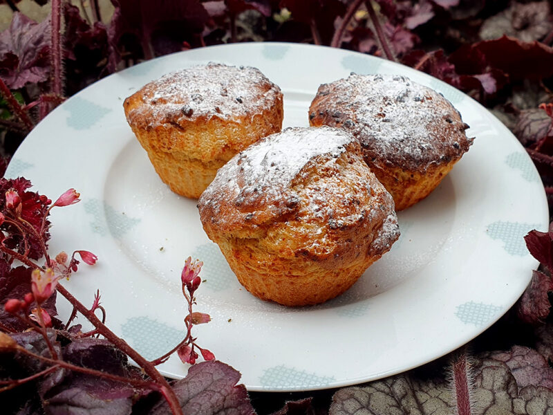 Lemon and cottage cheese muffins