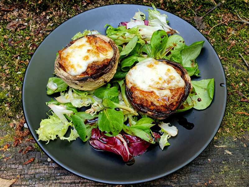 Sardine stuffed mushrooms