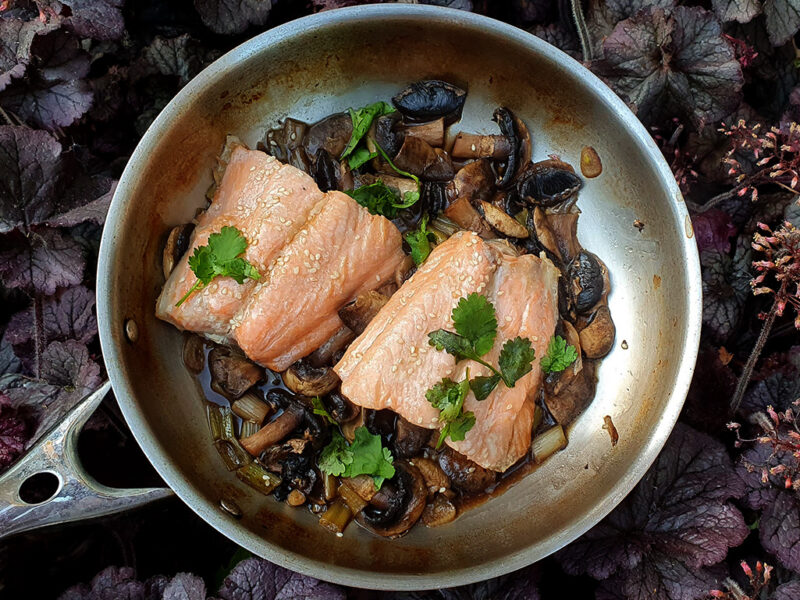 Teriyaki salmon with mushrooms