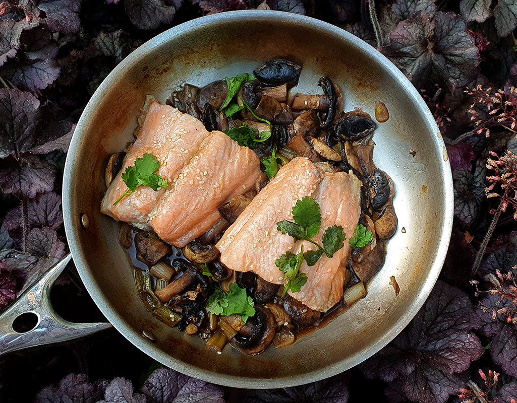Teriyaki salmon with mushrooms