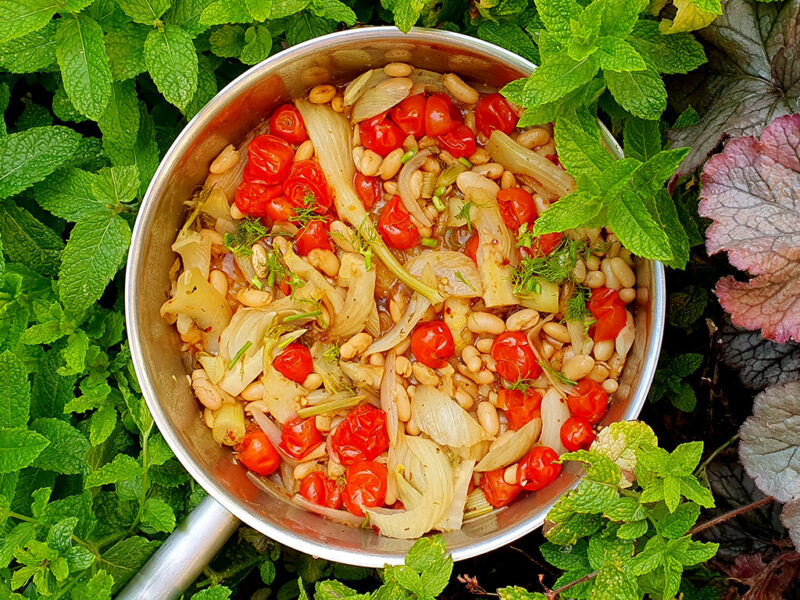 Sauteed fennel with beans and tomatoes