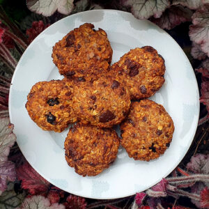 Sour cherry and chocolate oat cookies