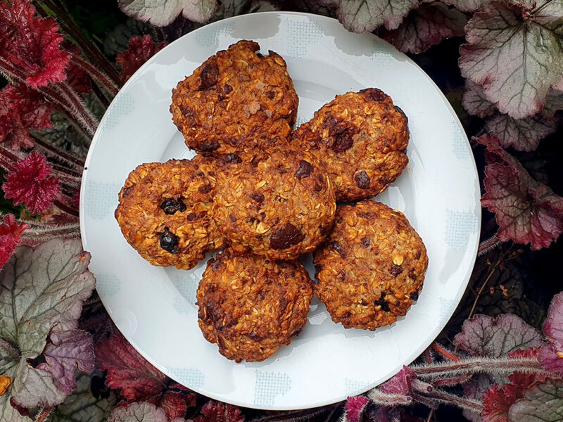 Sour cherry and chocolate oat cookies