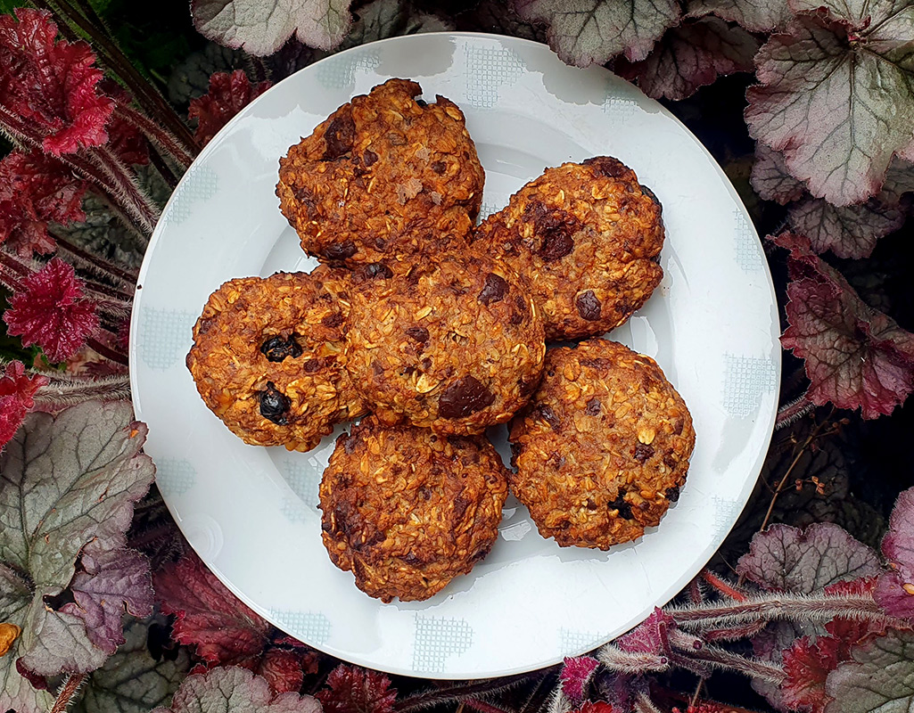 Sour cherry and chocolate oat cookies