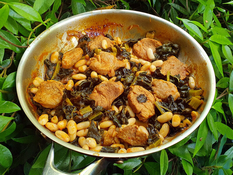 Pork loin and beans in tomato sauce