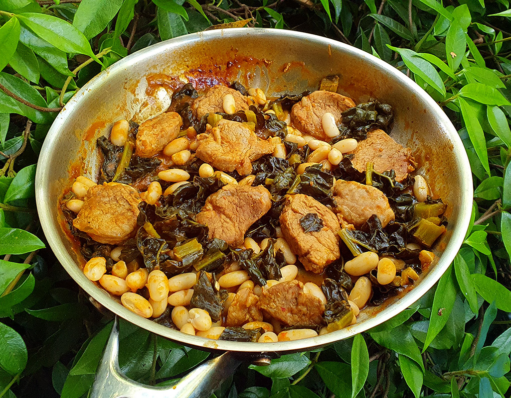 Pork loin and beans in tomato sauce