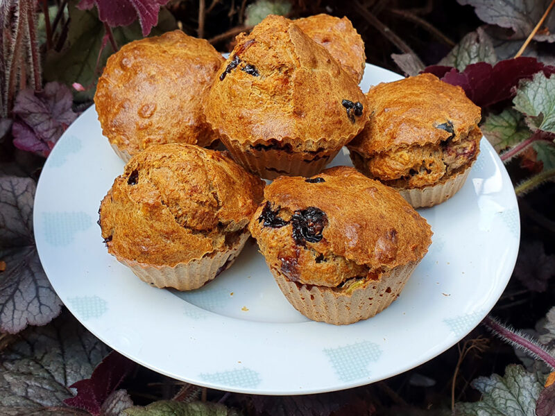 Healthy Blueberry oat muffins