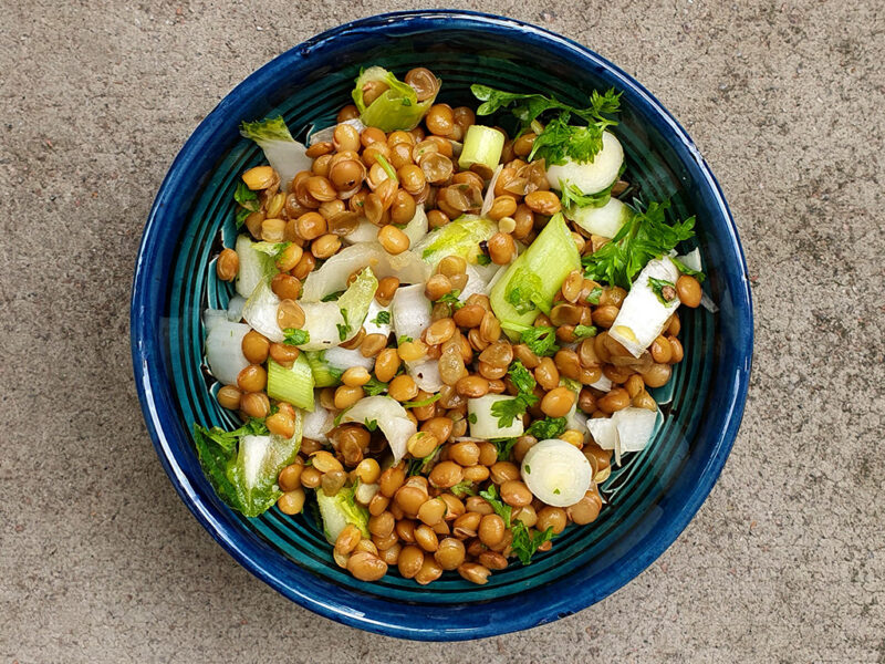 Chicory and Lentil Salad