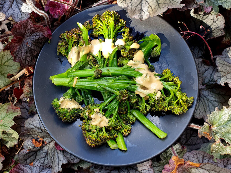 Purple Broccoli with Teriyaki Mayonnaise