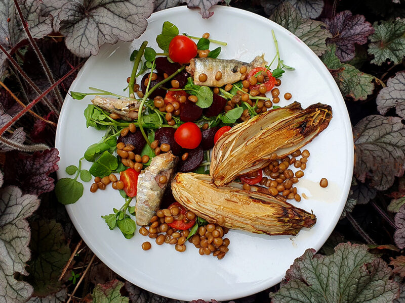 Baked Chicory, Sardine and Lentil Salad