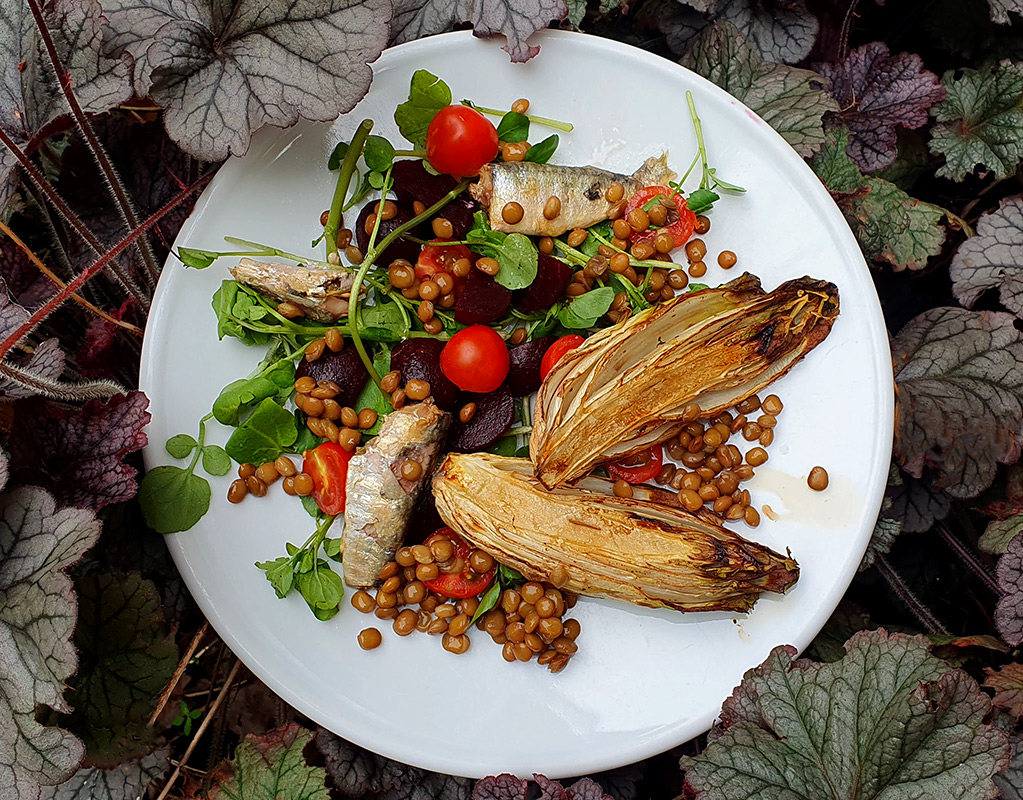 Baked Chicory, Sardine and Lentil Salad