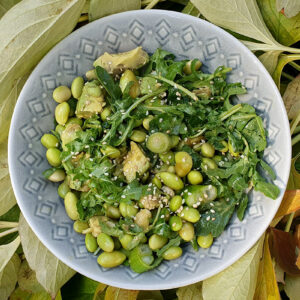 Edamame, Avocado, and Rocket Salad
