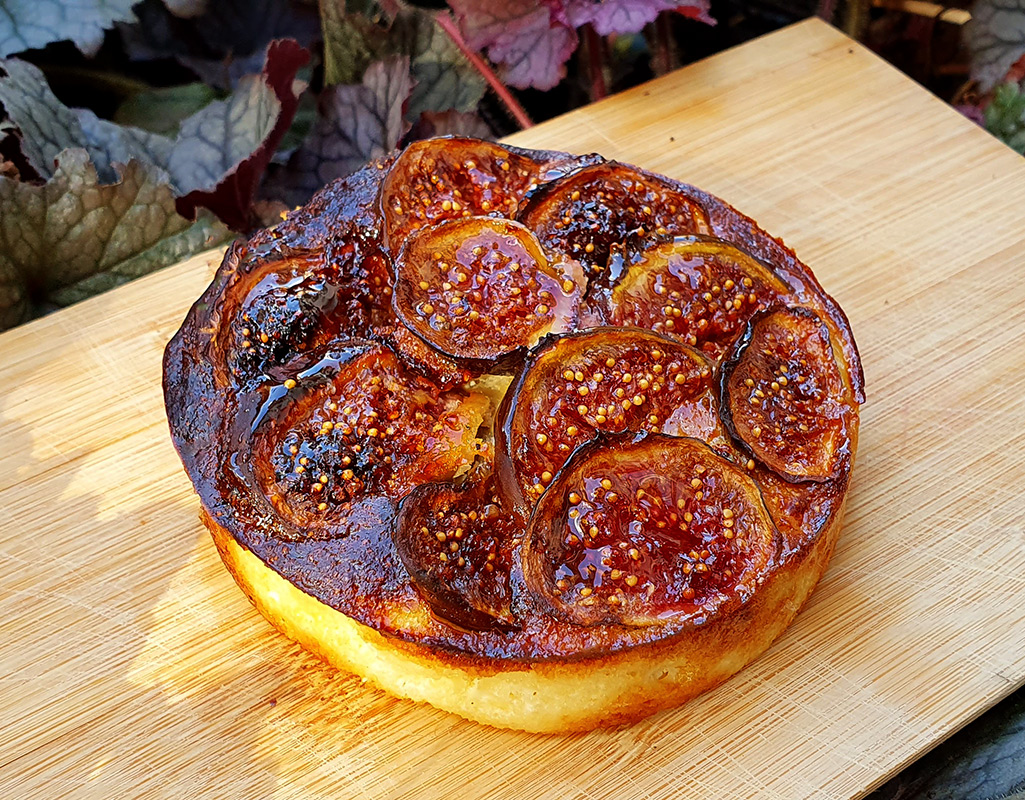 Mini Fig Cottage Cheese Cakes