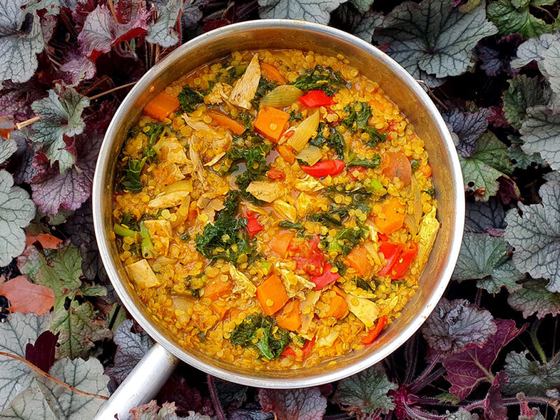 Easy Chicken and Red Lentil Curry