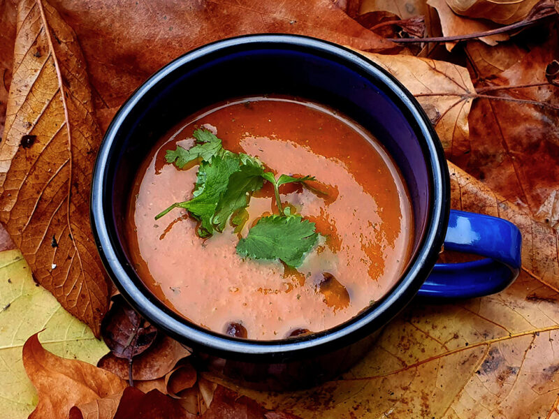 Mexican Tomato Soup