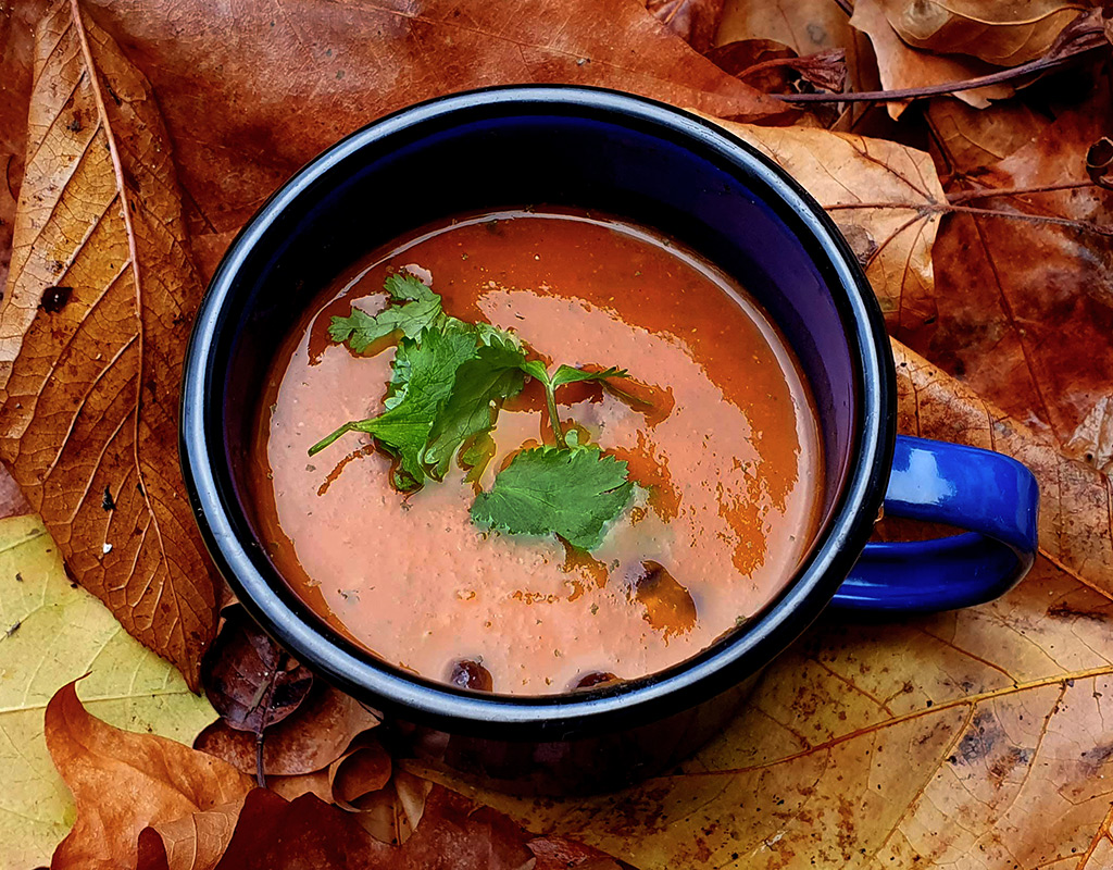 Mexican Tomato Soup