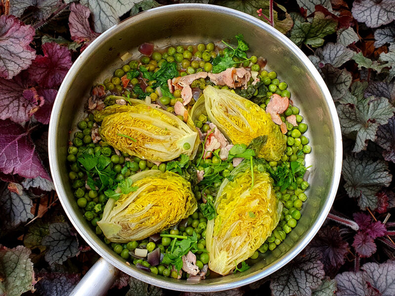 Braised Little Gems with Peas and Bacon