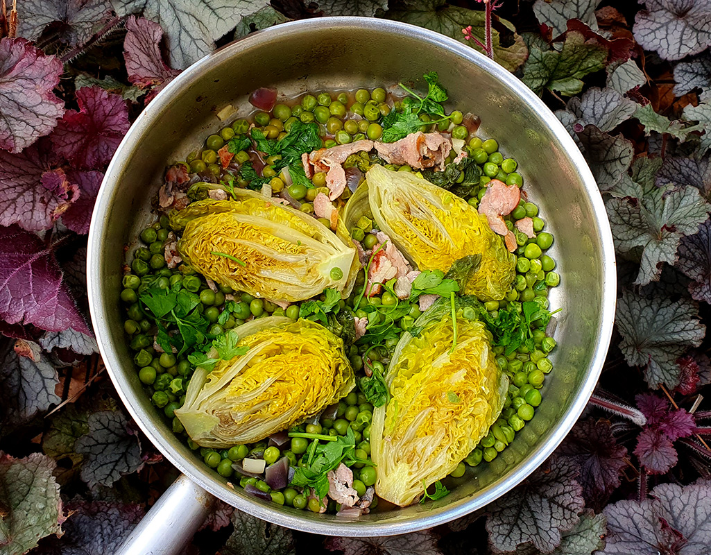 Braised Little Gems with Peas and Bacon