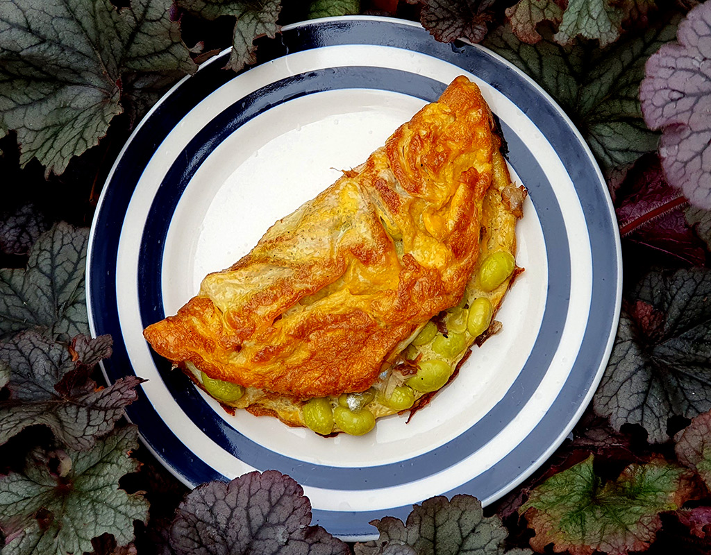 Edamame and Sardine Omelette