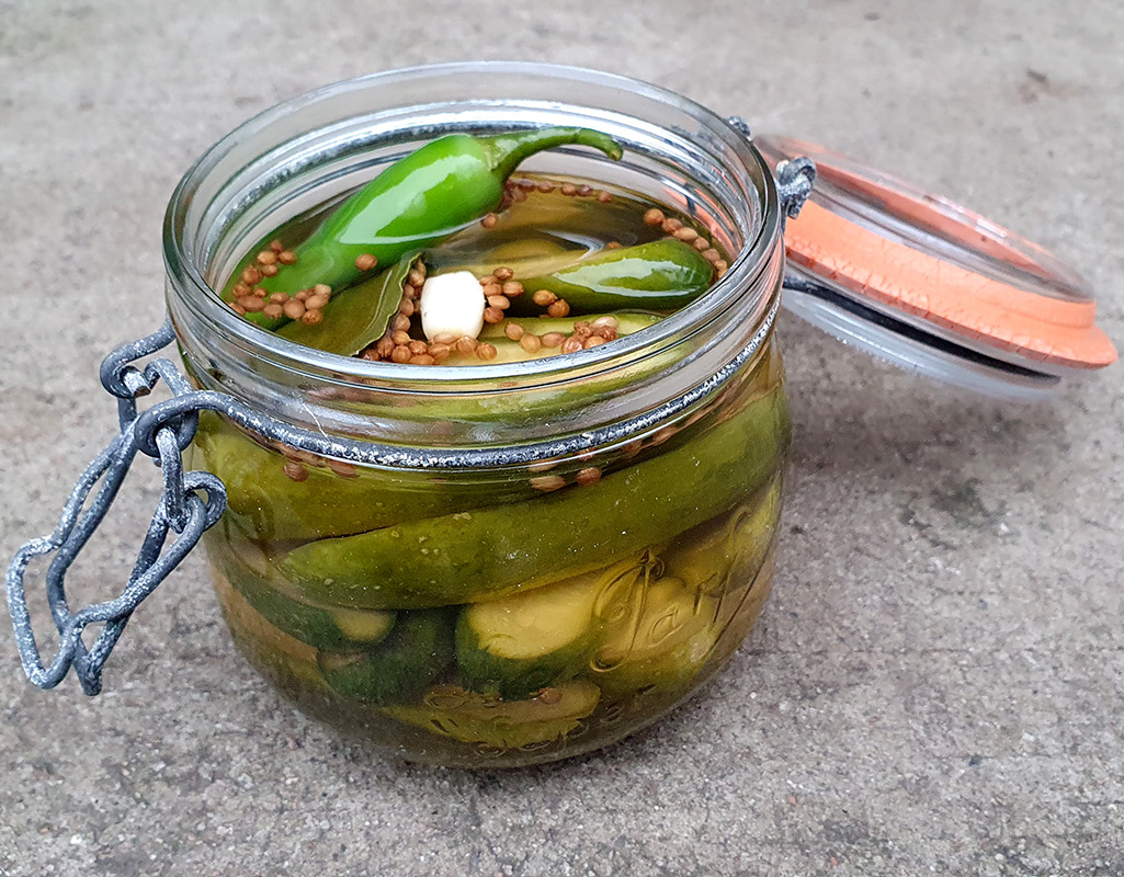 Pickled Baby Cucumbers