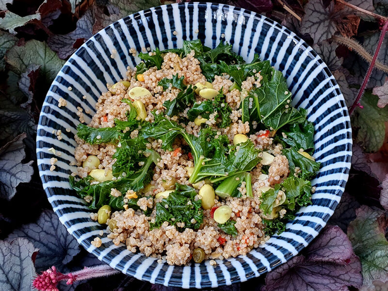 Quinoa, Edamame and Kale Salad
