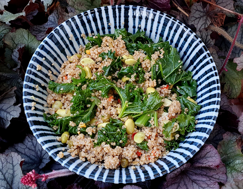 Quinoa, Edamame and Kale Salad