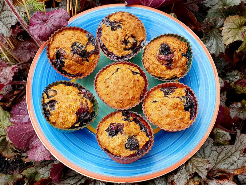 Blueberry Oat Muffins
