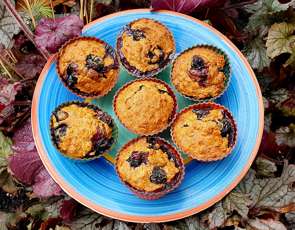 Blueberry Oat Muffins