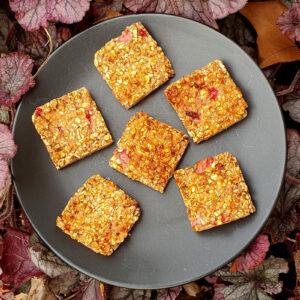 Strawberry and Almond Oat Squares