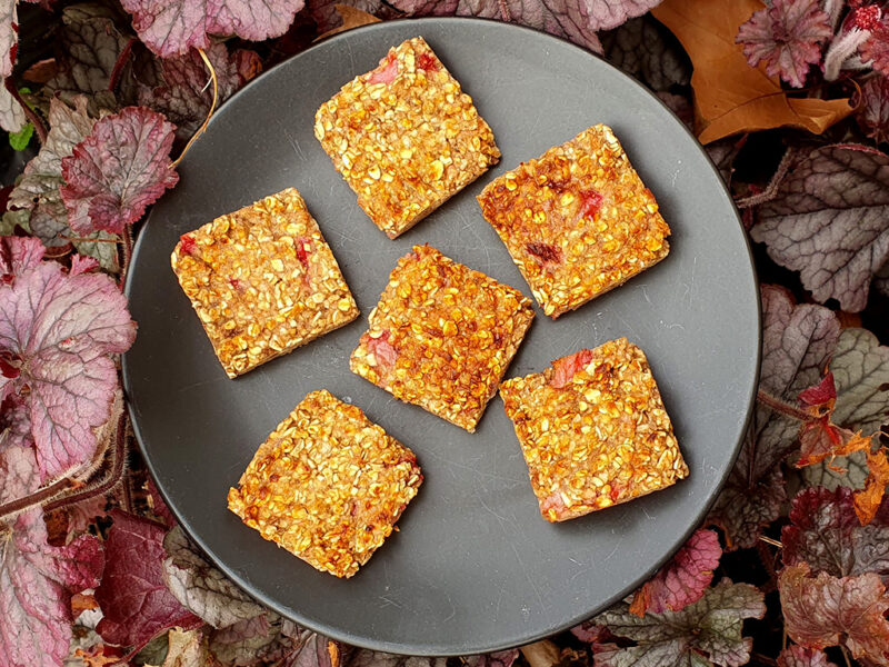 Strawberry and Almond Oat Squares