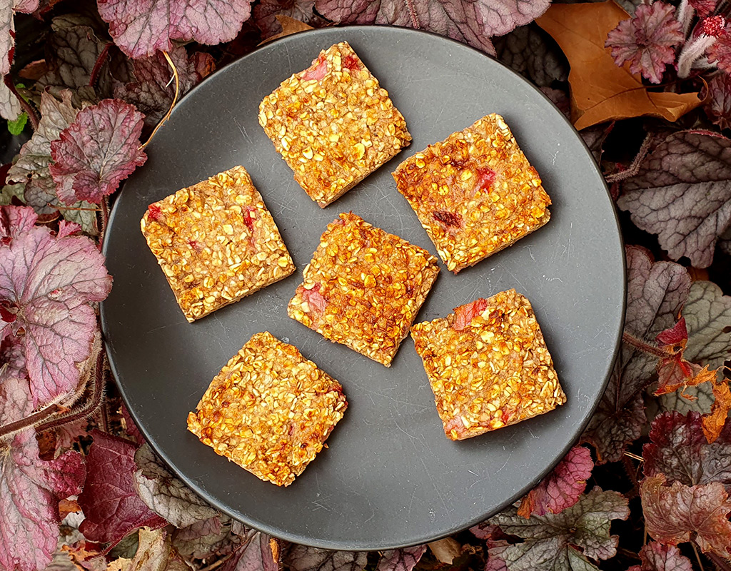 Strawberry and Almond Oat Squares
