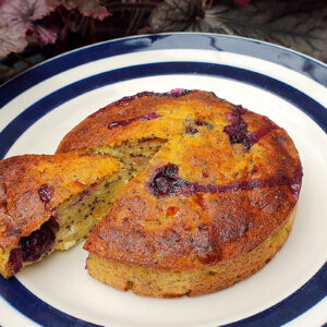 Baked Cottage Cheese and Blueberry Cakes