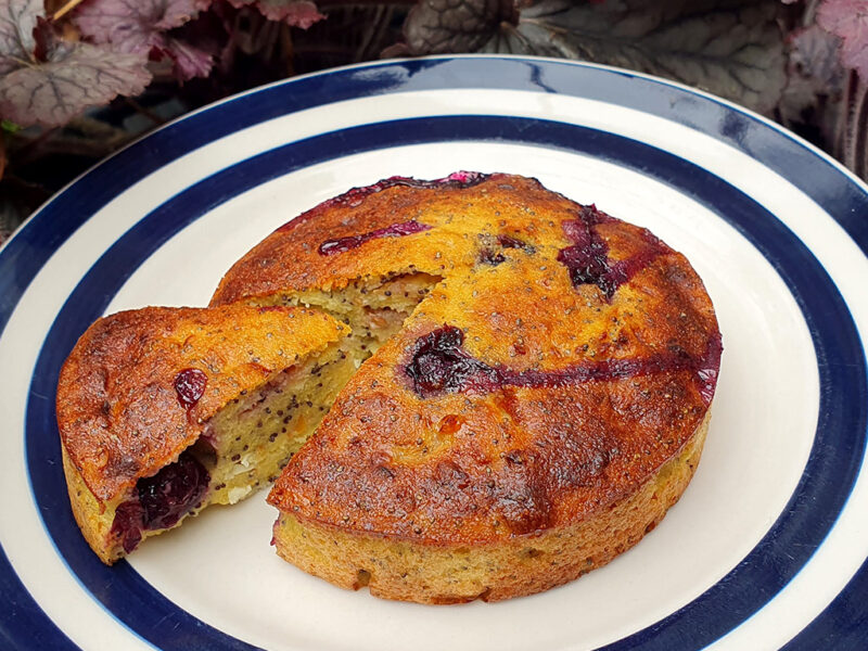 Baked Cottage Cheese and Blueberry Cakes