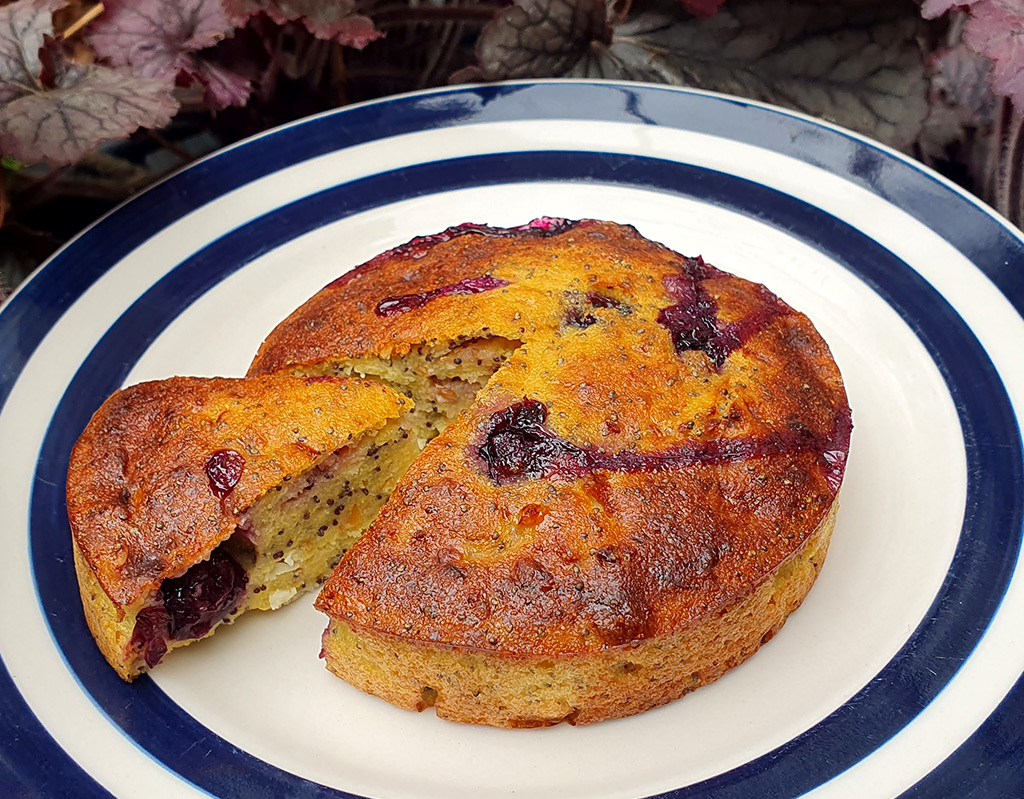 Baked Cottage Cheese and Blueberry Cakes