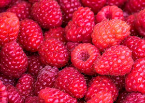 Raspberry Recipes
