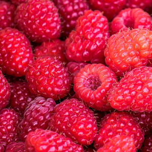 Raspberry Recipes