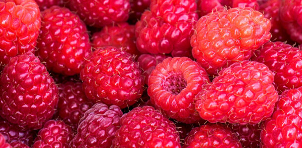Raspberry Recipes