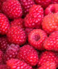 Raspberry Recipes