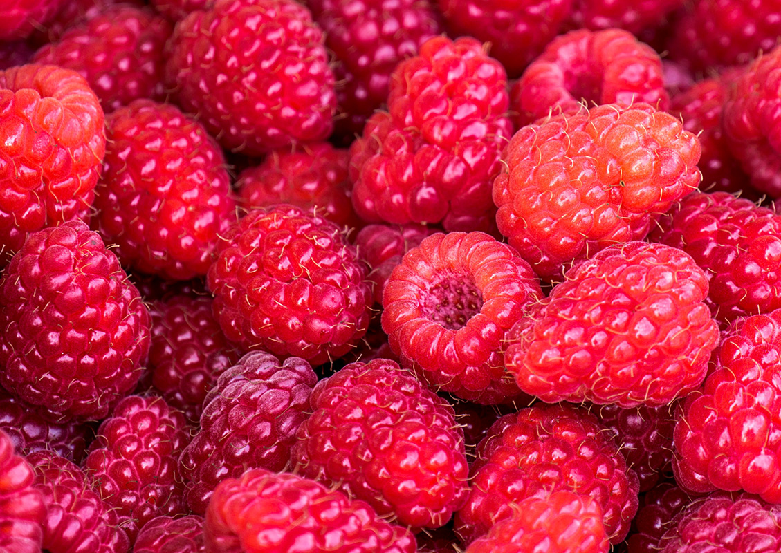 Raspberry Recipes